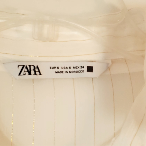 Zara Sheer Button Blouse - Picture 7 of 11